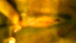 Brazilian Housemaid Pussy Pounded