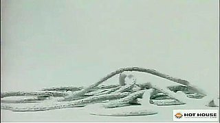 Aiden Shaw - From Street To Stud: Aidens Wild Journey