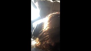 Lesbian Babe Gives Blowjob in Car