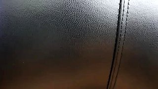 ClaraDomme Leather Dose