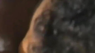 Nasty and Hot Blacks Fucking on A Hood of A Car