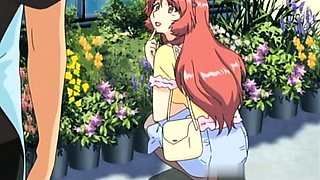 Wild Day with Hairy Stepsis