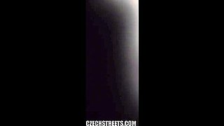 Zee Fake Twins Threesome Fun
