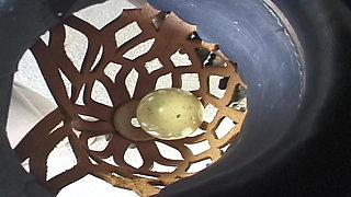 Two Stacked Hotties Play Pool Naked