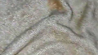 Submissive Hotwife Fucked Hard by Husband