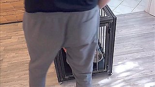 End Of Cage Keeping For The Slave