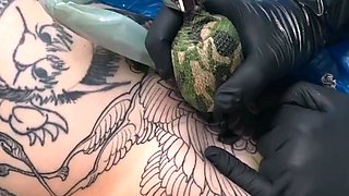 Stripping Amateur In Sexy Panties