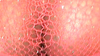 Sandra Star Compilation with Her Best Lingerie, Nasty Booty, Missionary Creampie, Good for Riding