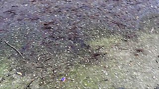 Kinky amateur fist fucked outdoors in a public par