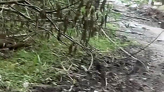 Piss, Mud and Flashing Near the Road