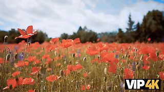 Vip4k. city pecker, country girls