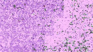 Desi super hero hard fuck with young girl -18+ desi teen girl hard fuking video