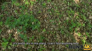 Forest strawberry bet led to a fire rail