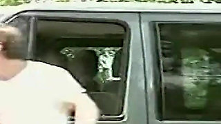 The Voyeur of the Forest