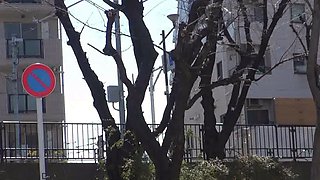 Hottest amateur Asian porn ever