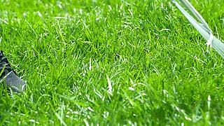 Attractive babes lesbian scene