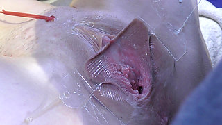 3 Licking Pussy Spread Far From Very Close