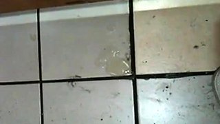 strange woman sucks off dick through a toilet partition wall