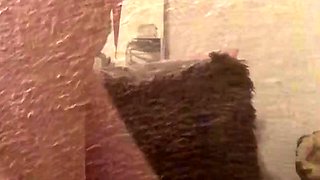 Blonde tight pussy babe solo toy fun in glamour masturbation