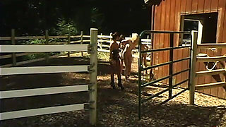 Adrianna Nicole, Annie Cruz, Sandra Romain, Kat, Lee Stone and Mark Davis