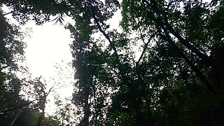 Jungle Adventures 2.3 Fucking Deep in the Woods