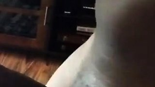 N2 The Gene Pool Black and Ebony