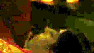 Watch prurient Sahara Knite's xxx