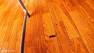 PGD_586_04_1932504003