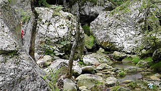 Anilos Olivia - Trunk Begging For It in HQ - Olivia