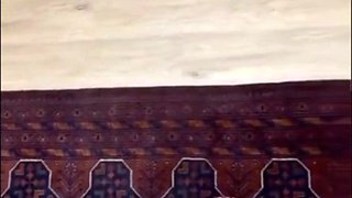 Emily Rinaudo Ignites Latina Passion in Sextape Heat