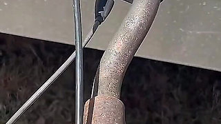 Pee on the Ground Near Truck Wheel