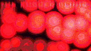 Amateur cam girl fingers and toys with her loose ass