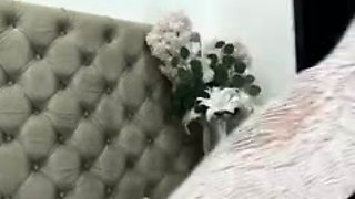 Amateur pantyhouse webcam teen strips and strokes her vagina