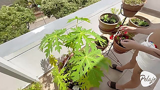 I Make the New Gardener Hired by My Wife Suck My Dick.