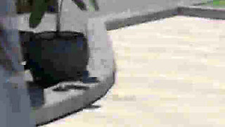 Tacos: Husband Eats and Fucks His Wife's Slutty Ass - Episode 80