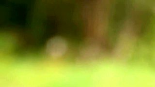 Sensual Sex Near the River with Romantic Couple of Big Tits Brunette Girls