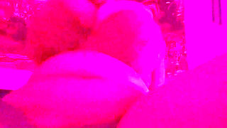 Solo Ebony Riding Dildo