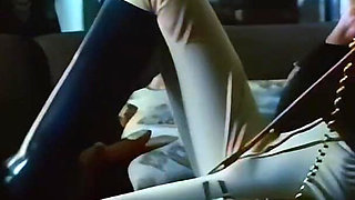 Hairy Cocks and Pussies