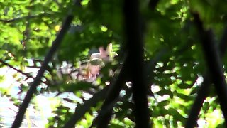 Voyeur captures amateur couple having sex on the beach
