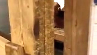Kennie Jai Hav Fun the Sauna