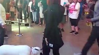 PLATINUM'S PATHETIC PET PUBLIC MUTT CRAWL FemDom
