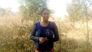Forest in Bush