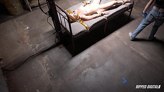 Bondage Redhead Sophia Locke Giggles During Quality Assurance