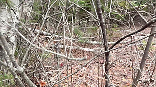 Pee Sexy on the Forest so Cool