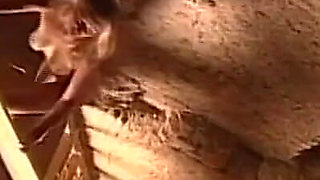 Young Blonde Fucked in an Abandoned Farmhouse and Then Pisses