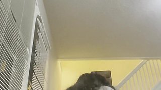 Goth stepsister is addicted to twerking