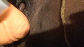Neighbor likes to fuck me after work