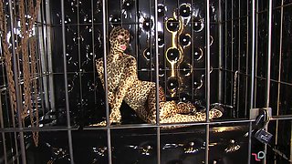 Wild Leopard Strip - Watch4Fetish