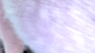 Big boob brunette masturbates on webcam