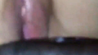Creampie Compilation Pregnant by Black Man